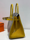 Birkin 25 Niloticus Croc 🐊